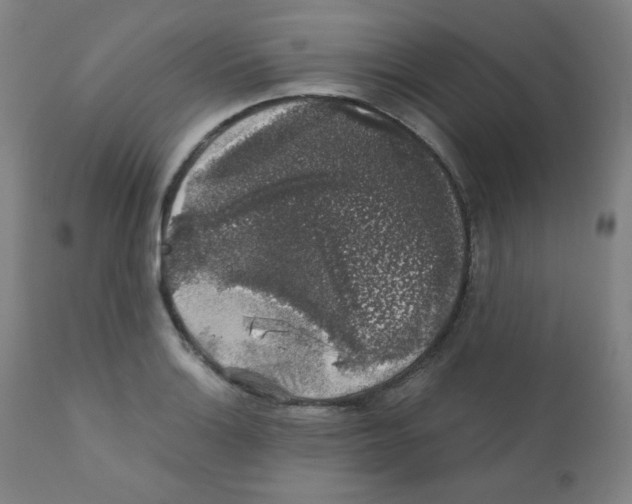 X0000111881132200908201251