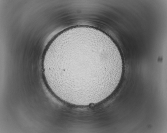 X0000111881133200908201251