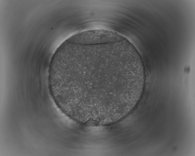X0000111881134200908201251
