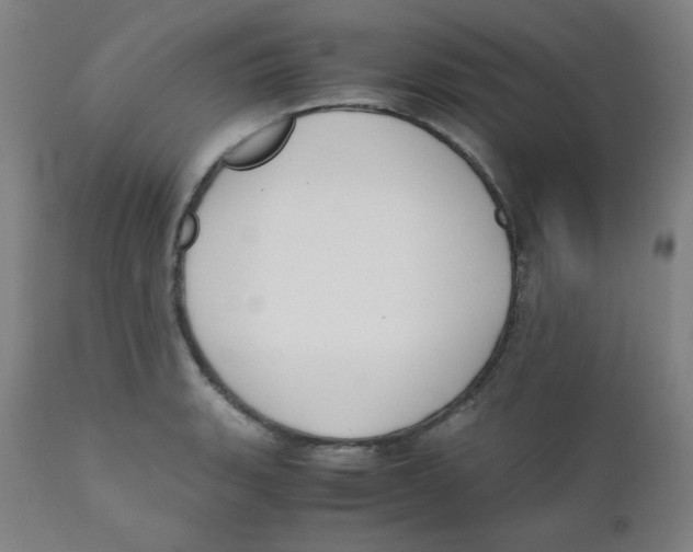 X0000111881135200908201251