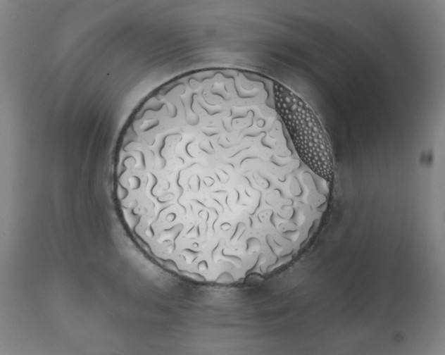 X0000111881136200908201251