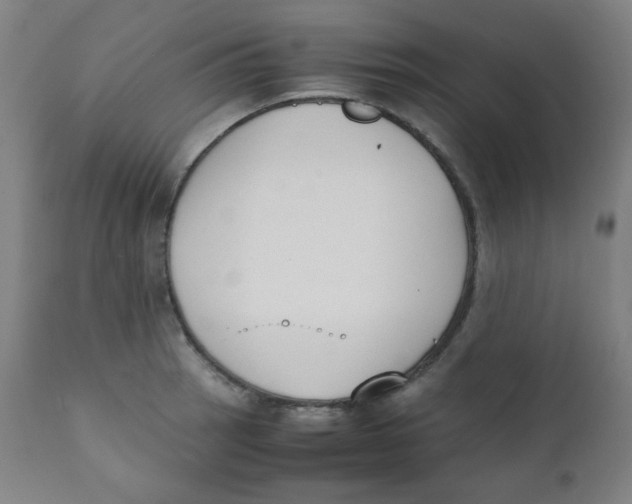 X0000111881137200908201251