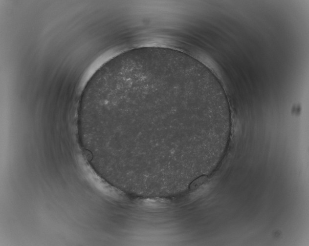 X0000111881138200908201251
