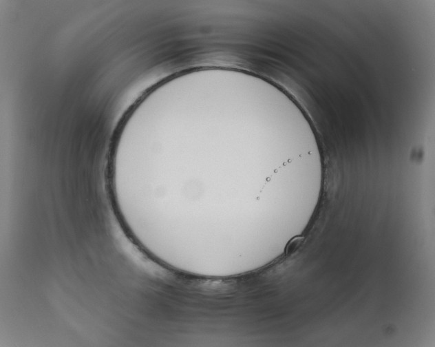 X0000111881139200908201251