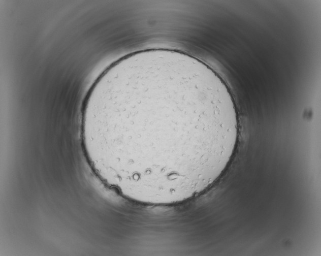 X0000111881140200908201251