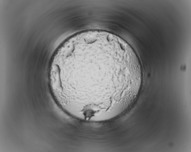X0000111881141200908201251