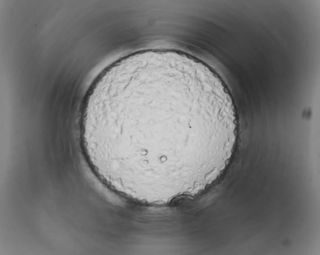 X0000111881142200908201251