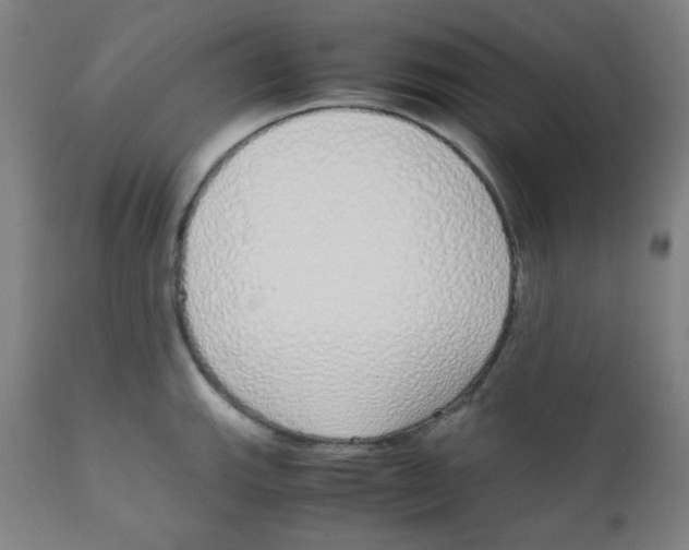 X0000111881143200908201251