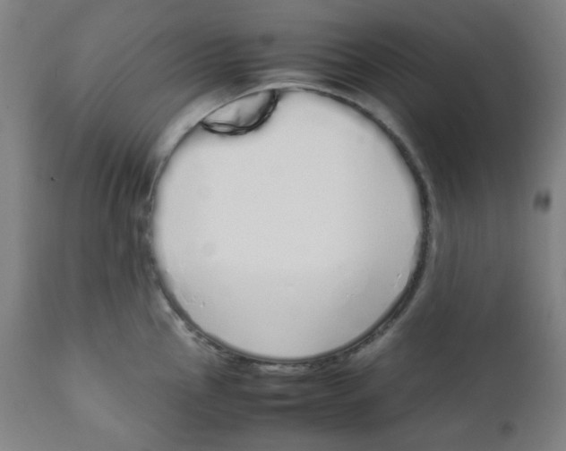 X0000111881145200908201251