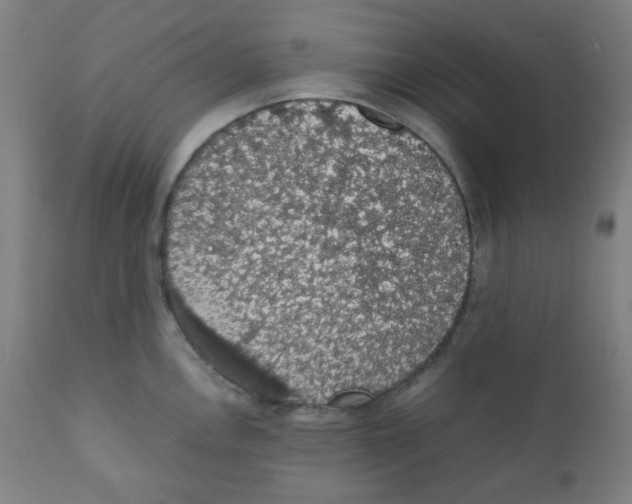 X0000111881146200908201251