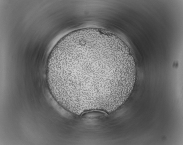 X0000111881148200908201251