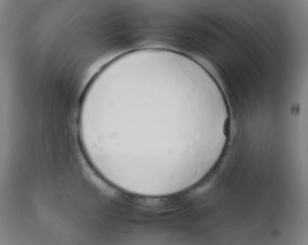 X0000111881149200908201251