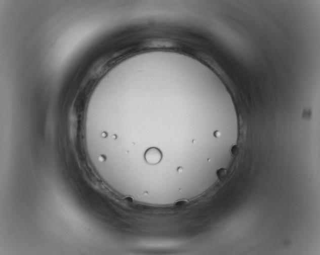 X0000111881151200908201251