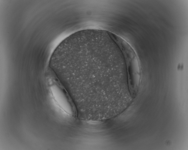 X0000111881152200908201251