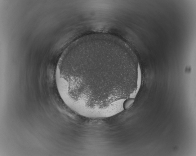 X0000111881154200908201251