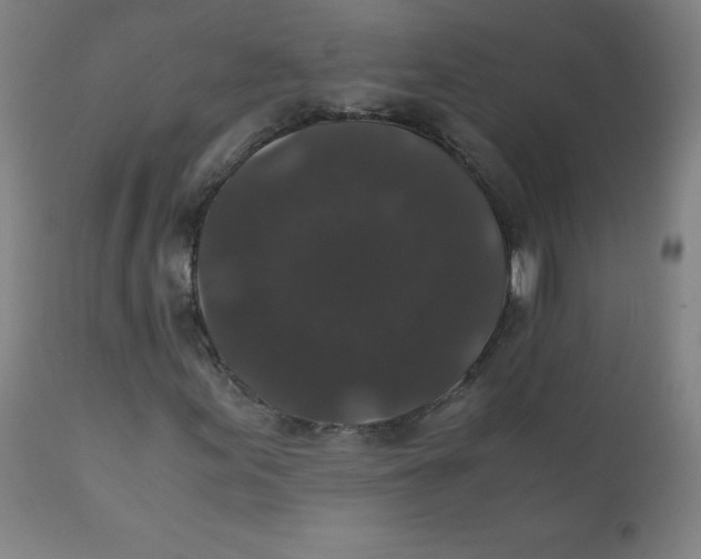 X0000111881155200908201251