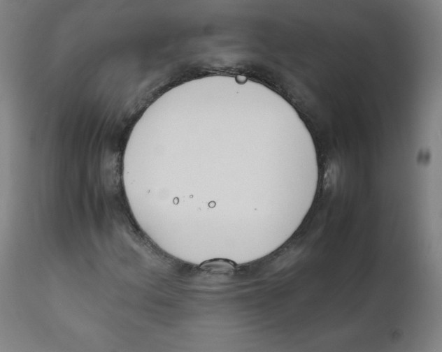 X0000111881156200908201251