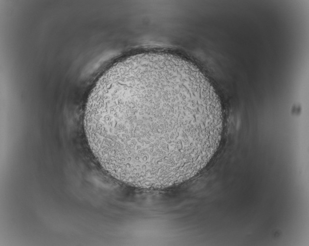X0000111881157200908201251