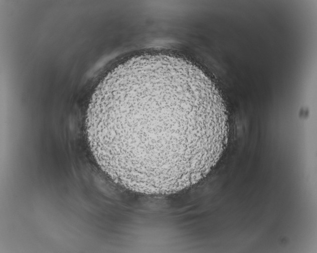 X0000111881158200908201251