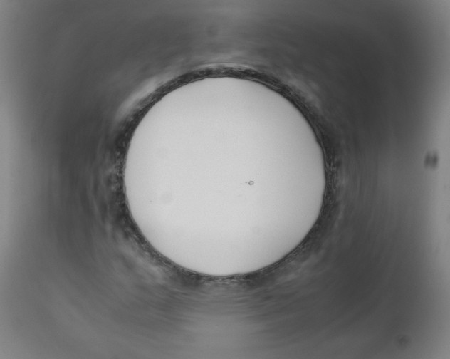 X0000111881159200908201251