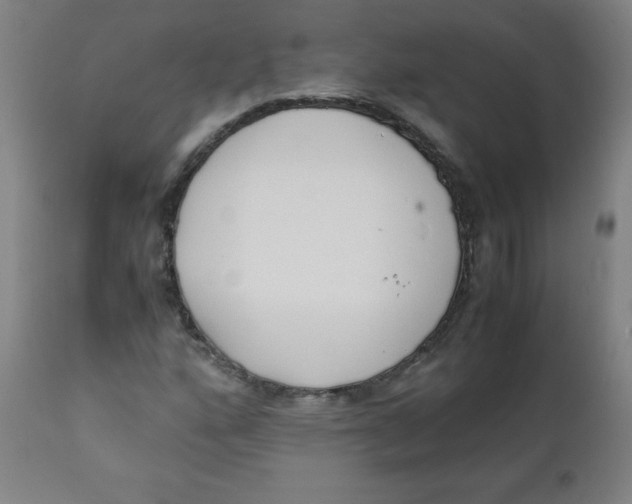 X0000111881160200908201251