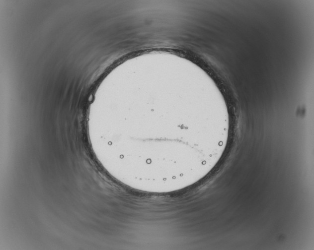X0000111881161200908201251