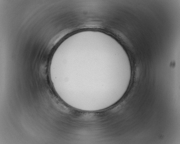 X0000111881162200908201251