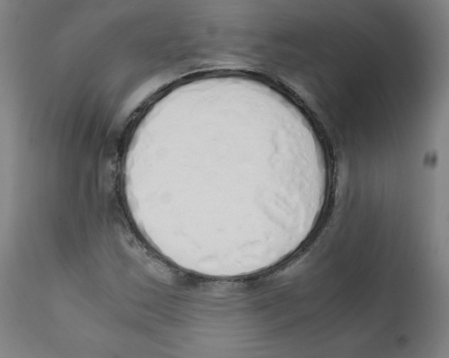 X0000111881163200908201250