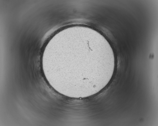 X0000111881164200908201250