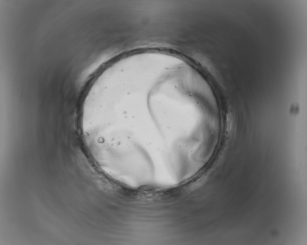 X0000111881165200908201250