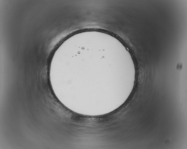 X0000111881167200908201250