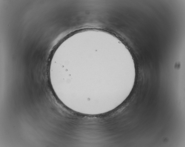 X0000111881168200908201250