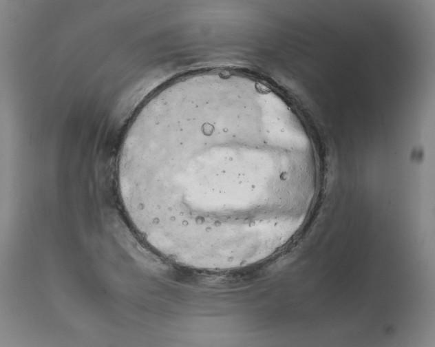 X0000111881169200908201250