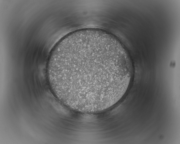 X0000111881170200908201250