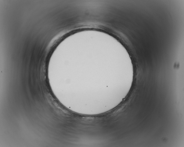 X0000111881172200908201250