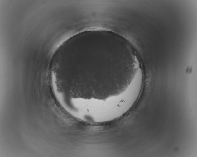 X0000111881173200908201250