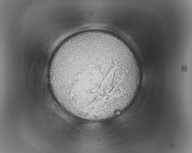X0000111881174200908201250