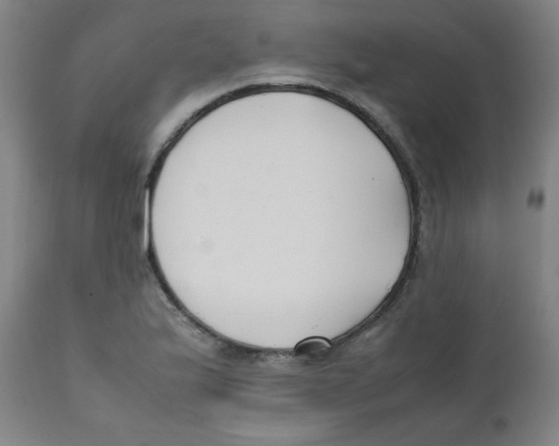 X0000111881175200908201250