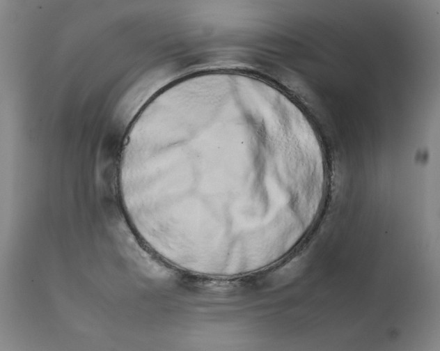 X0000111881177200908201250