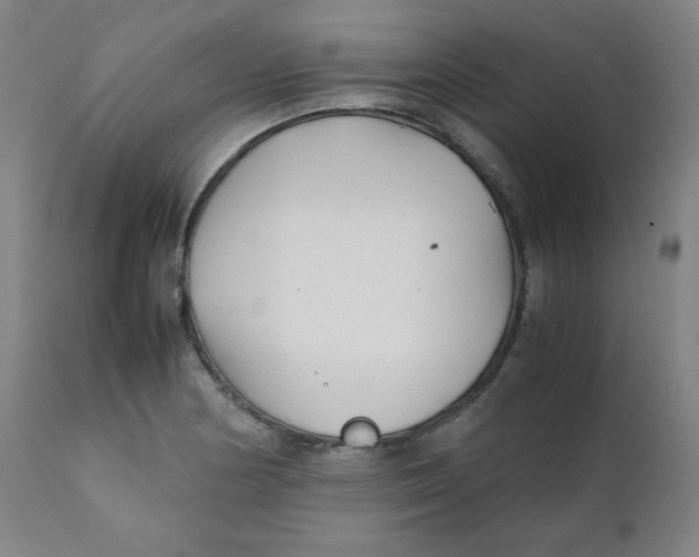 X0000111881178200908201250