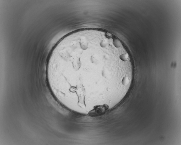 X0000111881179200908201250