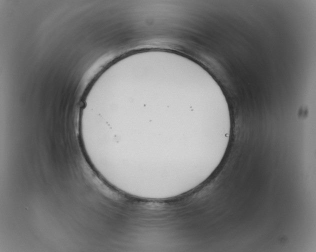 X0000111881180200908201250