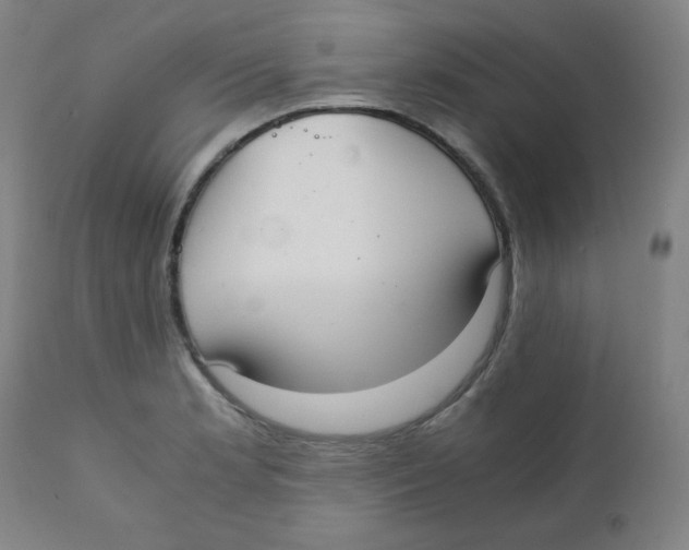 X0000111881181200908201250