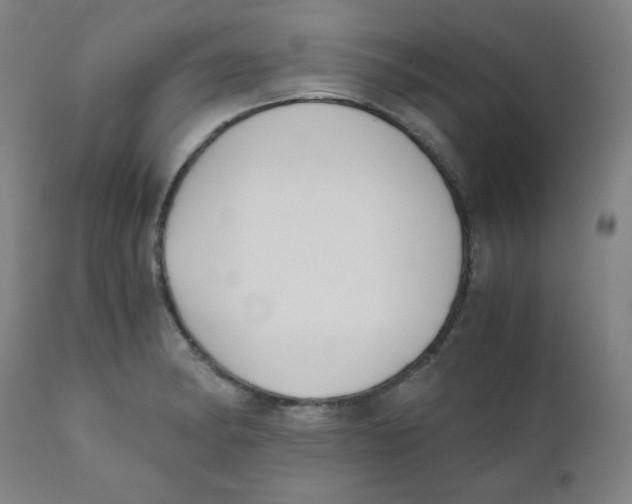 X0000111881182200908201250