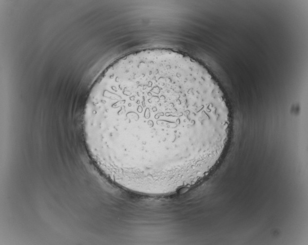 X0000111881185200908201250