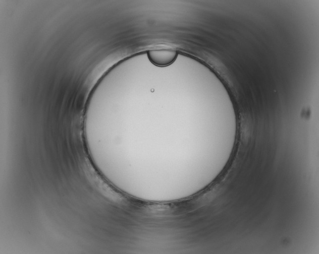 X0000111881186200908201250