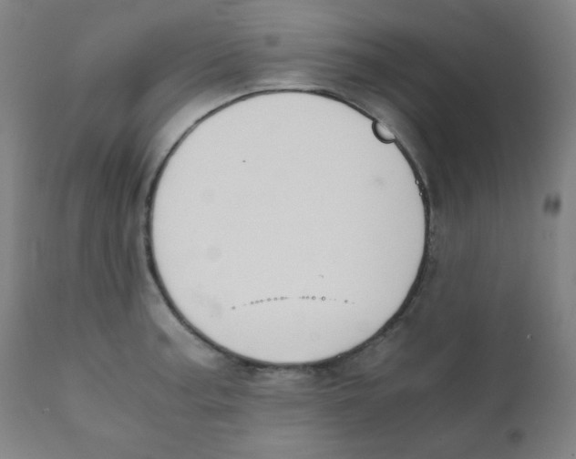 X0000111881187200908201250