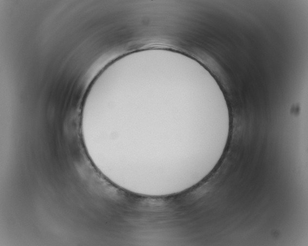 X0000111881190200908201250
