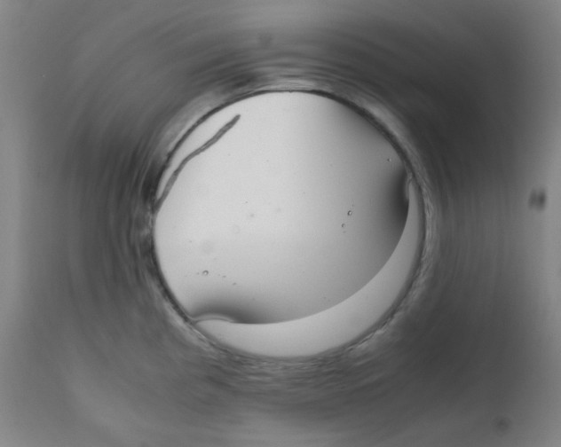 X0000111881193200908201250