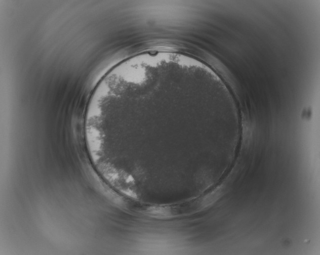 X0000111881194200908201250